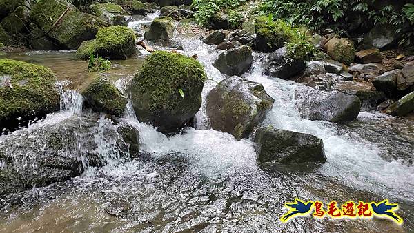 中坑橋-中坑西山尾稜-中坑西山-內盤山坑古道-新興宮O形 (58).jpg