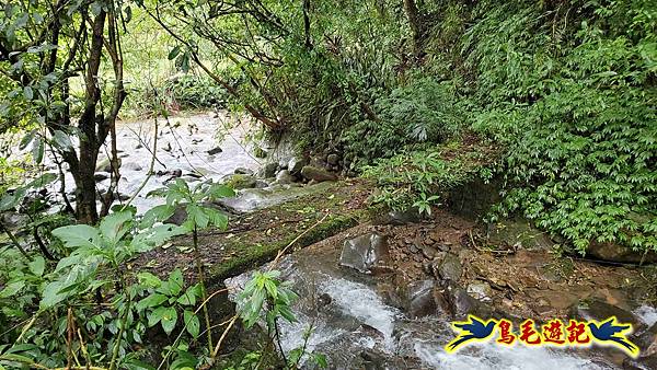 中坑橋-中坑西山尾稜-中坑西山-內盤山坑古道-新興宮O形 (65).jpg