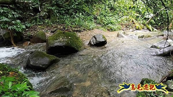 中坑橋-中坑西山尾稜-中坑西山-內盤山坑古道-新興宮O形 (63).jpg