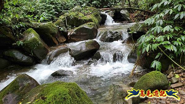 中坑橋-中坑西山尾稜-中坑西山-內盤山坑古道-新興宮O形 (64).jpg 中坑橋-中坑西山尾稜-中坑西山-內盤山坑古道-新興宮O形 (64).jpg