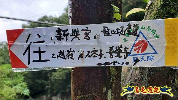 中坑橋-中坑西山尾稜-中坑西山-內盤山坑古道-新興宮O形 (68).jpg 中坑橋-中坑西山尾稜-中坑西山-內盤山坑古道-新興宮O形 (68).jpg