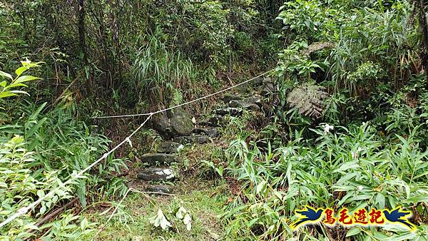 中坑橋-中坑西山尾稜-中坑西山-內盤山坑古道-新興宮O形 (69).jpg