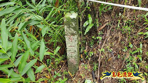 中坑橋-中坑西山尾稜-中坑西山-內盤山坑古道-新興宮O形 (70).jpg 中坑橋-中坑西山尾稜-中坑西山-內盤山坑古道-新興宮O形 (70).jpg