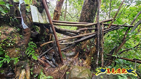 中坑橋-中坑西山尾稜-中坑西山-內盤山坑古道-新興宮O形 (71).jpg