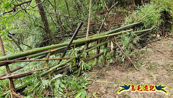 中坑橋-中坑西山尾稜-中坑西山-內盤山坑古道-新興宮O形 (73).jpg