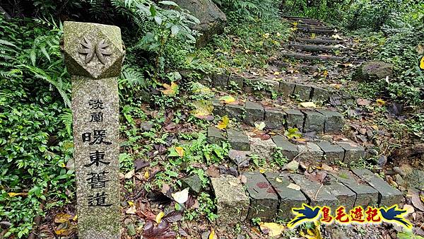 淡蘭山徑暖東舊道-頂子寮山-五分山-西峰-荖寮坑古道去回 (5).jpg