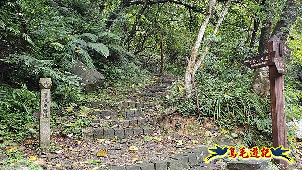 淡蘭山徑暖東舊道-頂子寮山-五分山-西峰-荖寮坑古道去回 (4).jpg