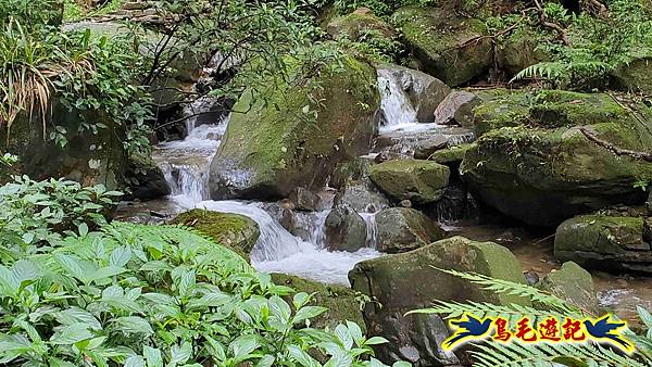 淡蘭山徑暖東舊道-頂子寮山-五分山-西峰-荖寮坑古道去回 (6).jpg