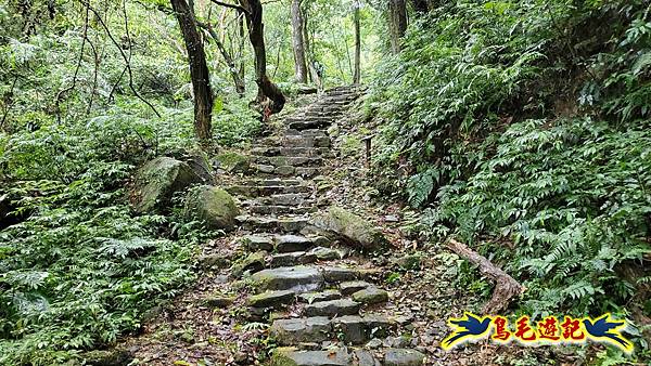 淡蘭山徑暖東舊道-頂子寮山-五分山-西峰-荖寮坑古道去回 (10).jpg