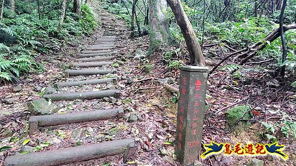 淡蘭山徑暖東舊道-頂子寮山-五分山-西峰-荖寮坑古道去回 (12).jpg