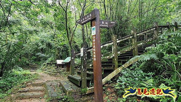 淡蘭山徑暖東舊道-頂子寮山-五分山-西峰-荖寮坑古道去回 (11).jpg