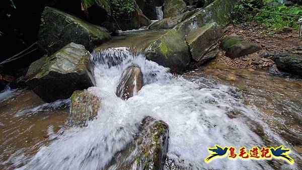 淡蘭山徑暖東舊道-頂子寮山-五分山-西峰-荖寮坑古道去回 (8).jpg