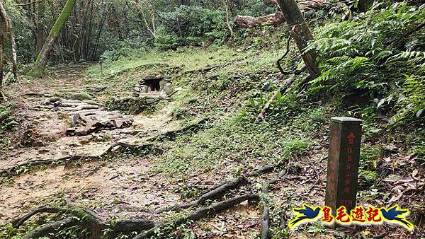 淡蘭山徑暖東舊道-頂子寮山-五分山-西峰-荖寮坑古道去回 (13).jpg