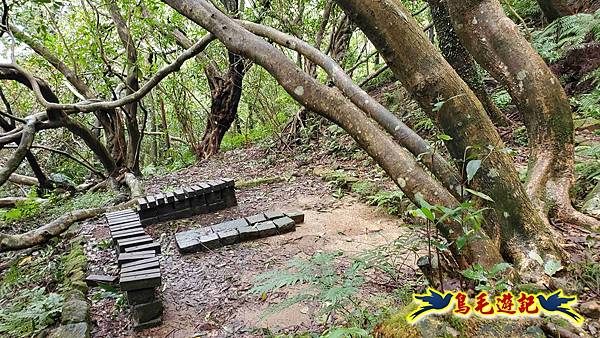 淡蘭山徑暖東舊道-頂子寮山-五分山-西峰-荖寮坑古道去回 (15).jpg
