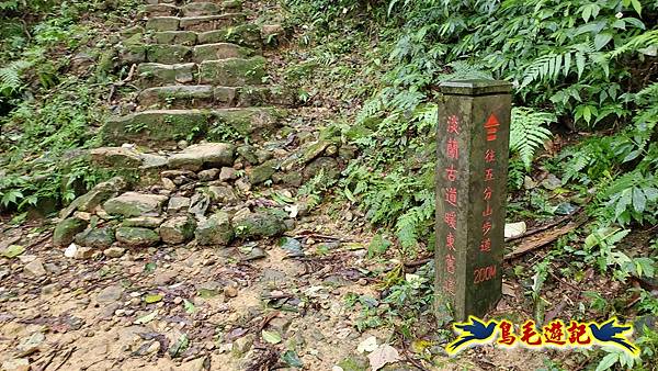 淡蘭山徑暖東舊道-頂子寮山-五分山-西峰-荖寮坑古道去回 (16).jpg