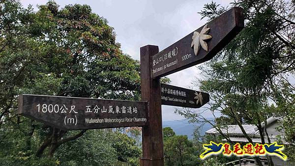 淡蘭山徑暖東舊道-頂子寮山-五分山-西峰-荖寮坑古道去回 (18).jpg