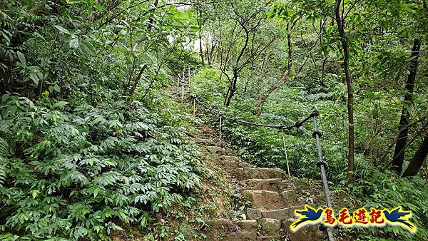 淡蘭山徑暖東舊道-頂子寮山-五分山-西峰-荖寮坑古道去回 (17).jpg