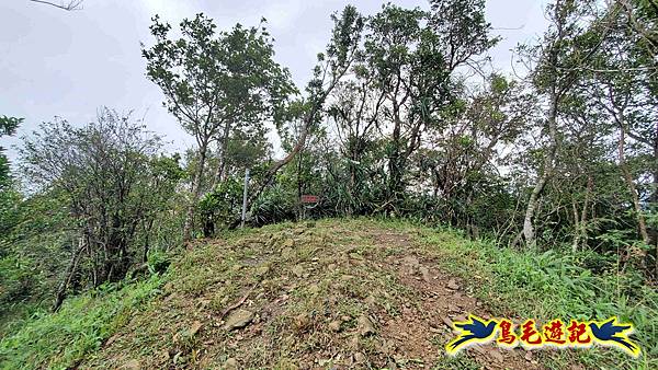 淡蘭山徑暖東舊道-頂子寮山-五分山-西峰-荖寮坑古道去回 (21).jpg