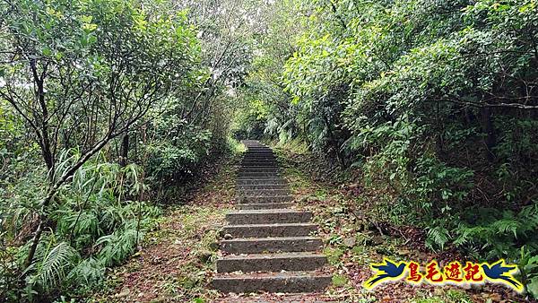 淡蘭山徑暖東舊道-頂子寮山-五分山-西峰-荖寮坑古道去回 (25).jpg