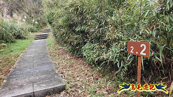 淡蘭山徑暖東舊道-頂子寮山-五分山-西峰-荖寮坑古道去回 (28).jpg