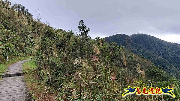 淡蘭山徑暖東舊道-頂子寮山-五分山-西峰-荖寮坑古道去回 (29).jpg