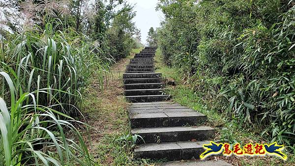 淡蘭山徑暖東舊道-頂子寮山-五分山-西峰-荖寮坑古道去回 (27).jpg