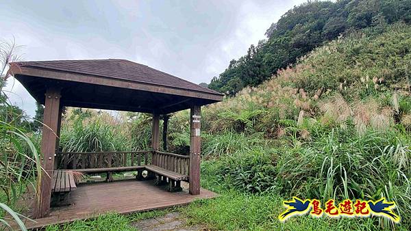 淡蘭山徑暖東舊道-頂子寮山-五分山-西峰-荖寮坑古道去回 (26).jpg