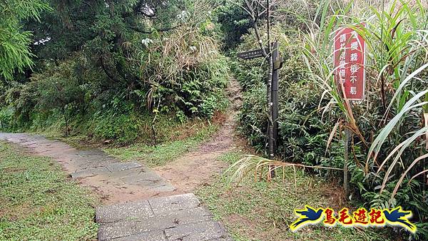 淡蘭山徑暖東舊道-頂子寮山-五分山-西峰-荖寮坑古道去回 (36).jpg