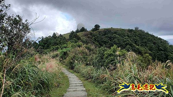 淡蘭山徑暖東舊道-頂子寮山-五分山-西峰-荖寮坑古道去回 (35).jpg