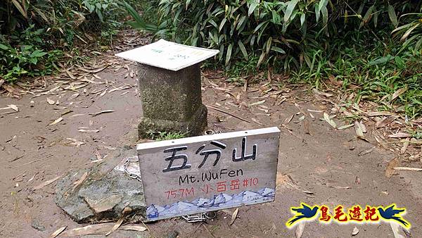 淡蘭山徑暖東舊道-頂子寮山-五分山-西峰-荖寮坑古道去回 (39).jpg