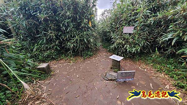 淡蘭山徑暖東舊道-頂子寮山-五分山-西峰-荖寮坑古道去回 (38).jpg