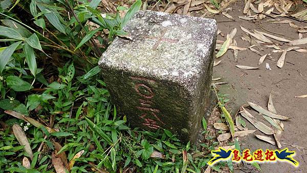 淡蘭山徑暖東舊道-頂子寮山-五分山-西峰-荖寮坑古道去回 (41).jpg