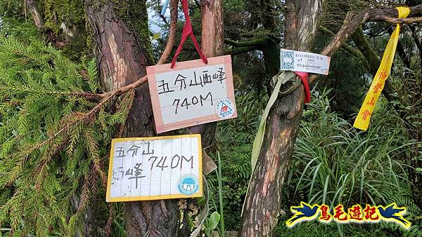 淡蘭山徑暖東舊道-頂子寮山-五分山-西峰-荖寮坑古道去回 (46).jpg