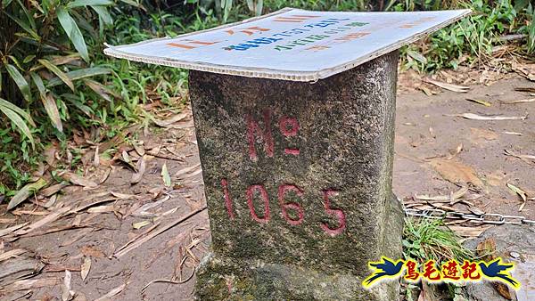 淡蘭山徑暖東舊道-頂子寮山-五分山-西峰-荖寮坑古道去回 (42).jpg