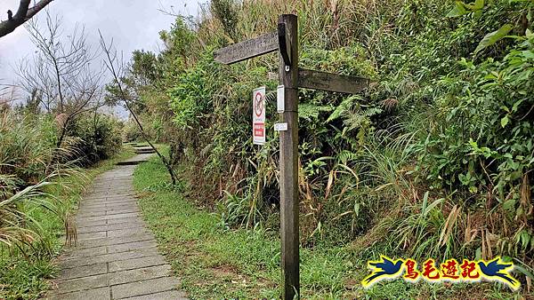 淡蘭山徑暖東舊道-頂子寮山-五分山-西峰-荖寮坑古道去回 (44).jpg