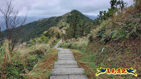淡蘭山徑暖東舊道-頂子寮山-五分山-西峰-荖寮坑古道去回 (43).jpg