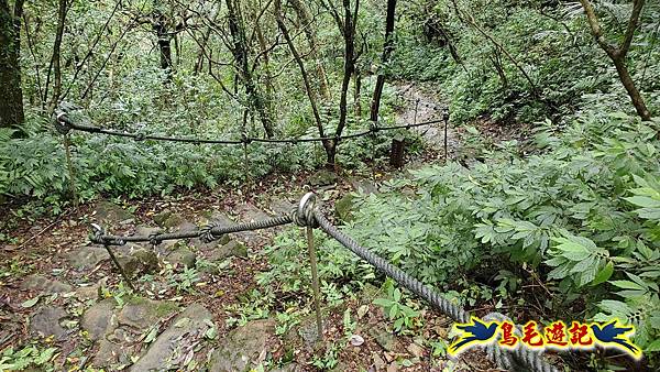 淡蘭山徑暖東舊道-頂子寮山-五分山-西峰-荖寮坑古道去回 (49).jpg