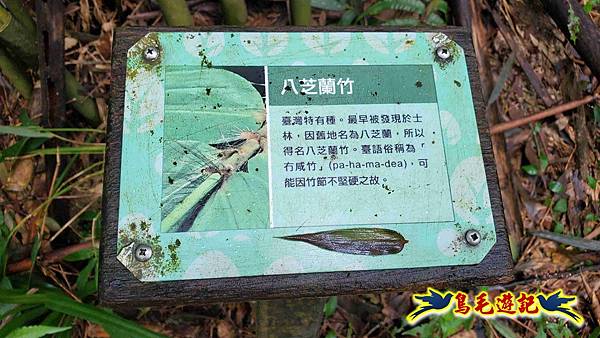 淡蘭山徑暖東舊道-頂子寮山-五分山-西峰-荖寮坑古道去回 (54).jpg