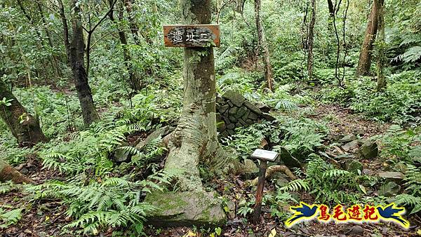 淡蘭山徑暖東舊道-頂子寮山-五分山-西峰-荖寮坑古道去回 (53).jpg