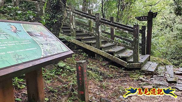 淡蘭山徑暖東舊道-頂子寮山-五分山-西峰-荖寮坑古道去回 (51).jpg