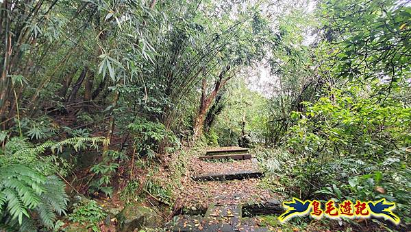 淡蘭山徑暖東舊道-頂子寮山-五分山-西峰-荖寮坑古道去回 (55).jpg