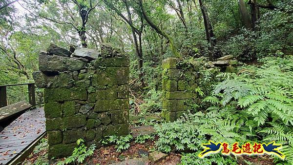 淡蘭山徑暖東舊道-頂子寮山-五分山-西峰-荖寮坑古道去回 (58).jpg