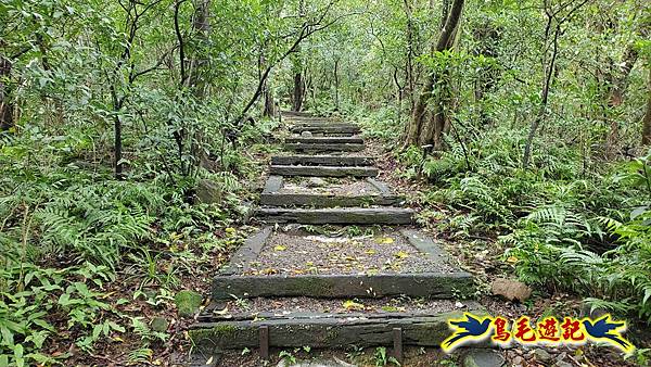 淡蘭山徑暖東舊道-頂子寮山-五分山-西峰-荖寮坑古道去回 (56).jpg