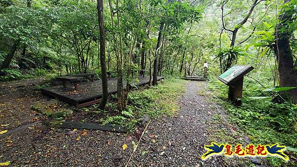 淡蘭山徑暖東舊道-頂子寮山-五分山-西峰-荖寮坑古道去回 (63).jpg