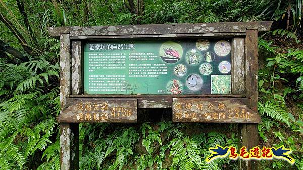 淡蘭山徑暖東舊道-頂子寮山-五分山-西峰-荖寮坑古道去回 (61).jpg