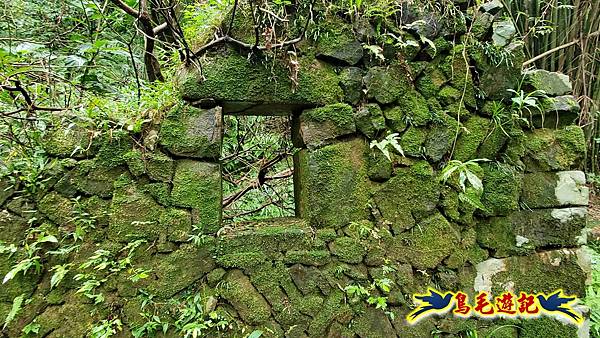 淡蘭山徑暖東舊道-頂子寮山-五分山-西峰-荖寮坑古道去回 (60).jpg