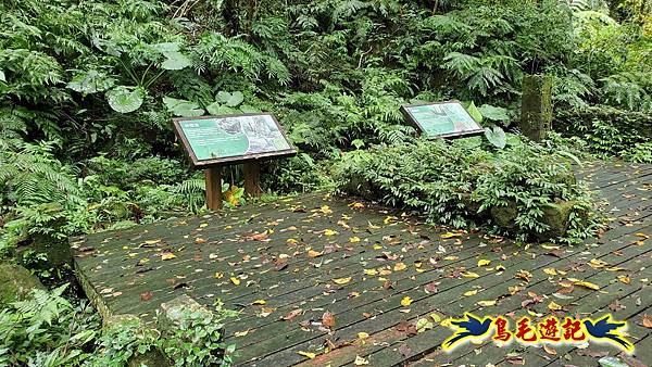 淡蘭山徑暖東舊道-頂子寮山-五分山-西峰-荖寮坑古道去回 (64).jpg