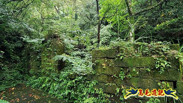 淡蘭山徑暖東舊道-頂子寮山-五分山-西峰-荖寮坑古道去回 (69).jpg