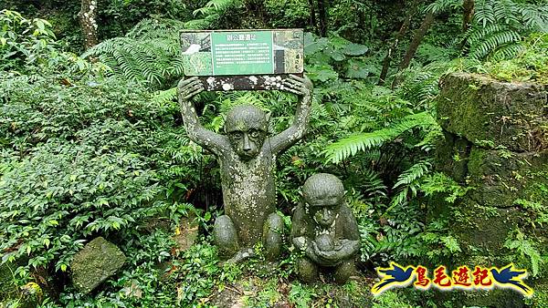 淡蘭山徑暖東舊道-頂子寮山-五分山-西峰-荖寮坑古道去回 (67).jpg