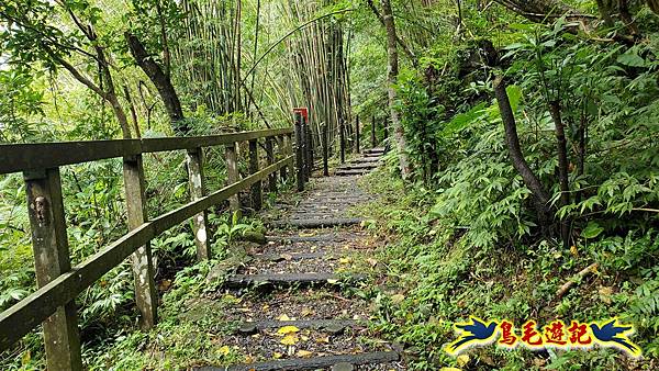 淡蘭山徑暖東舊道-頂子寮山-五分山-西峰-荖寮坑古道去回 (74).jpg